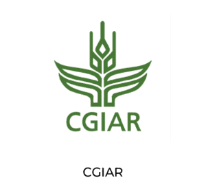 KLIMADO CGIAR
