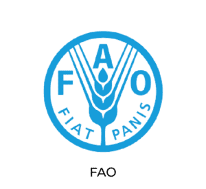 KLIMADO FAO